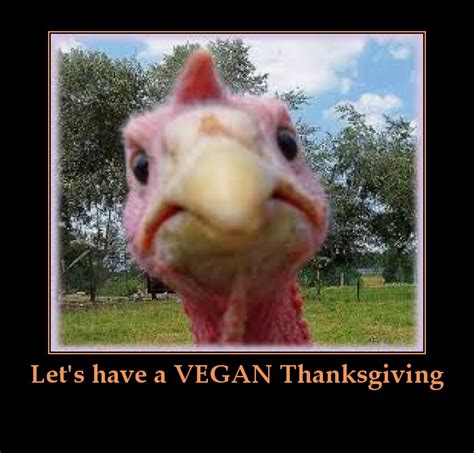 Funny Thanksgiving Turkey Picture Exclusive Pictures