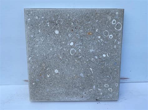 16″ X 16″ Concrete Pavers Growers Outlet Of Lake Worth