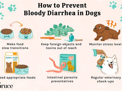 Light Colored Diarrhea In Puppy
