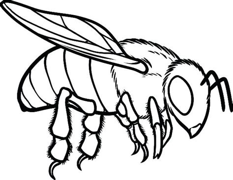 Filed under animals coloring pages. Beehive Coloring Page at GetColorings.com | Free printable ...