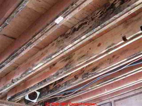 Ceiling What Does Black Mold Look Like | Another Home ...