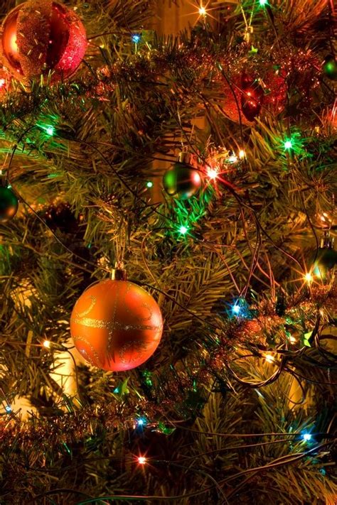 Christmas Tree Closeup Pictures, Photos, and Images for ...