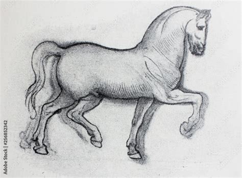 Sketch Of Horse Pencil Drawing By Leonardo Da Vinci In A Vintage Book