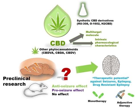 Ijms Free Full Text Advances And Challenges Of Cannabidiol As An