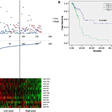 Risk Score For Mirna Signature And Outcome In Pc Patients A Survival