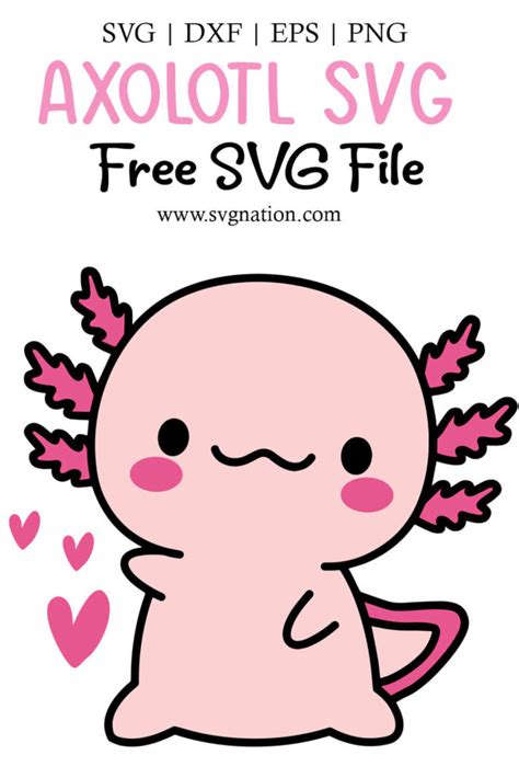 Axolotl SVG - Free SVG Files