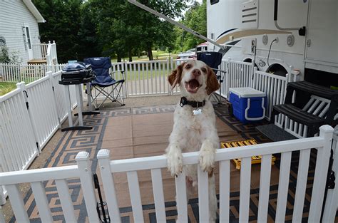Dogwatch by great lakes pet fencing inc. Picket Play Portable Camping & Dog Fence