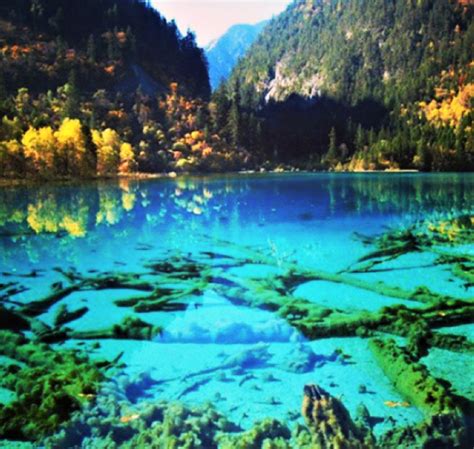 Alam Dongeng Di Crystalline Turquoise Lake Di Jiuzhaigou China