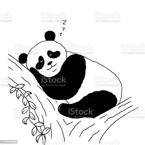 Sleeping Cute Panda On White Background Vector Illustration Of Sleeping