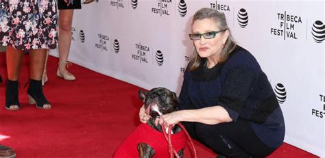 Hund Von Carrie Fisher Wird Zum Star Wars Alien Szene Heuteat