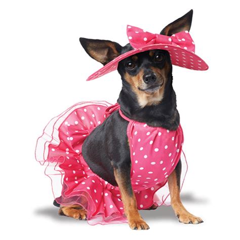 Bcrf Pretty In Pink Dog Dress With Same Day Shipping Baxterboo