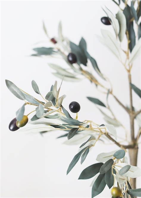 Patterns Olive Tree Hd Phone Wallpaper Pxfuel