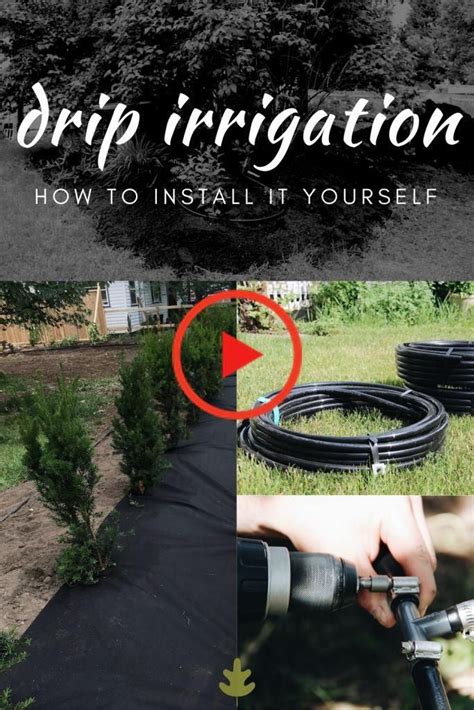 Learn how to set one up in your own yard. DIY Drip Irrigation Systems: How to Install Drip Lines in ...