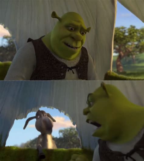 Shrek For 5 Mins Memes Imgflip