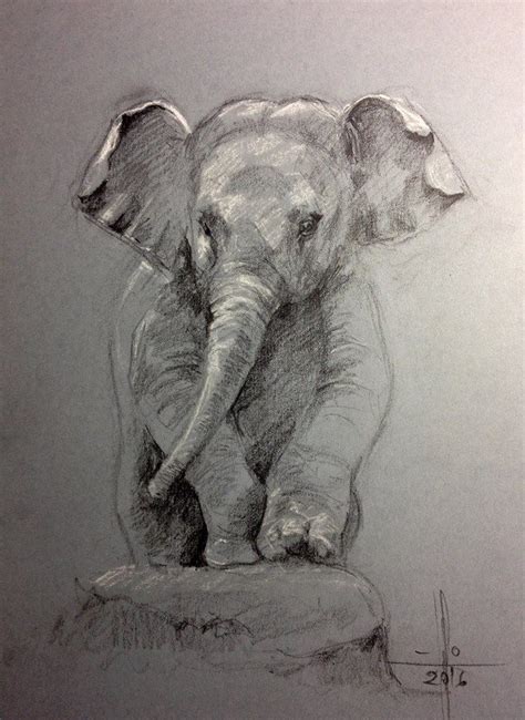 Elefante Dibujo A Lapiz Como Dibujar Un Elefante Tribal Paso A Paso