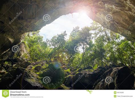 View Of Forest From Cave Stock Photo Image Of Landscapes 55576260