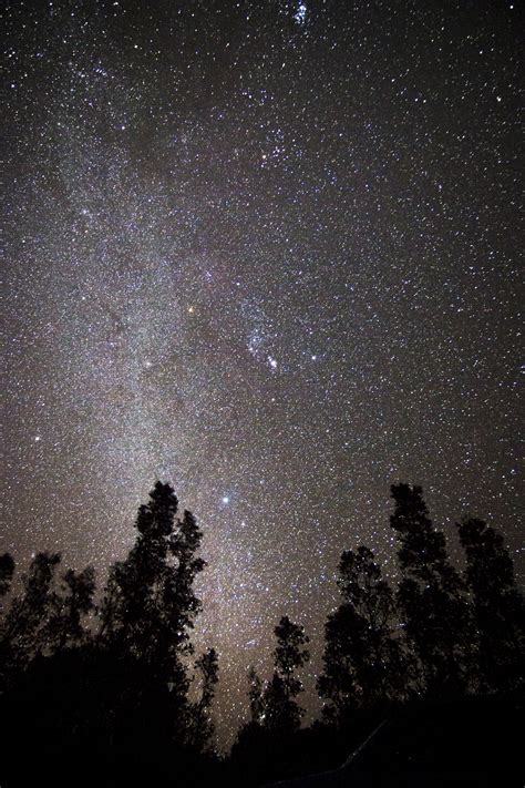 Free Images Sky Night Atmospheric Phenomenon Tree Atmosphere