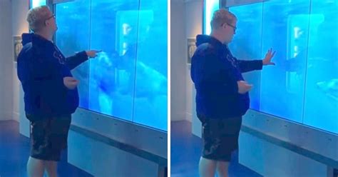 Man Curiously Taps On Aquarium Shark Display Ends Up Getting Fright Of His Life