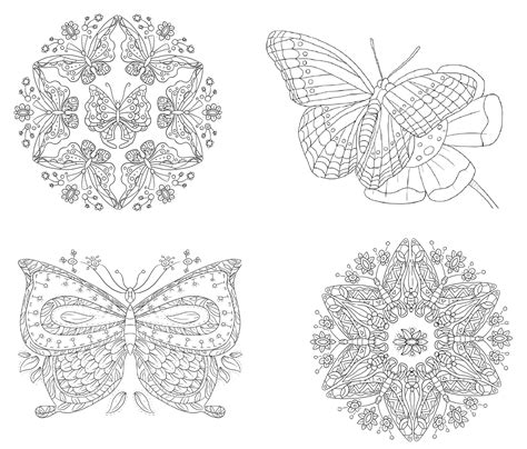There is no reason to ever be bored with so many fun butterfly projects to work on! FREE Beautiful Butterfly Coloring Pages — BOOM Coloring | Butterfly coloring page, Beautiful ...