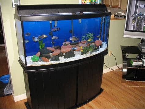 2 Best 150 Gallon Aquarium Fish Tank Stand Models In 2022