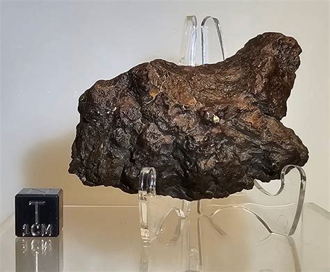 618 Gram Nwa 2932 Meteorite Mesosiderite End Cut Rare Wriker Box
