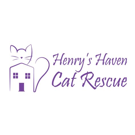 Henrys Haven Cat Rescue Fundraising Easyfundraising