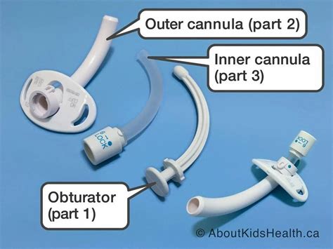 Adjustable Cuffed Tracheostomy Tube Inner Cannula At Rs 4600piece In