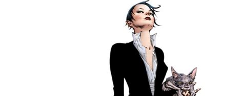 Une Nouvelle équipe Créative Pour Catwoman Comicsblogfr