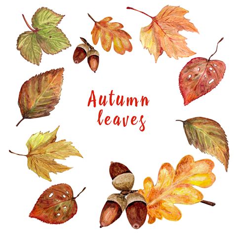 Autumn Leaves Watercolor By Svetlana Thehungryjpeg