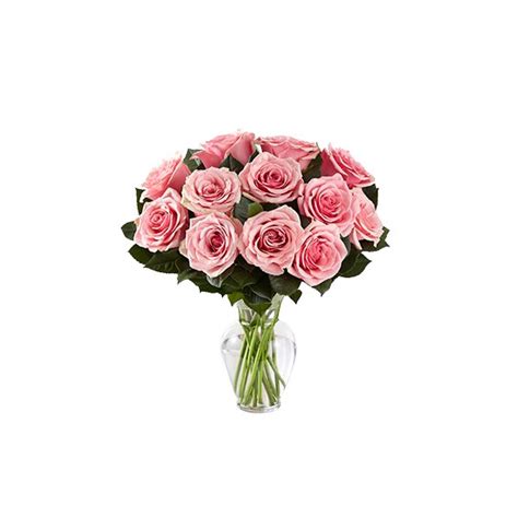 Dozen Pink Rose Vase Mobile Al