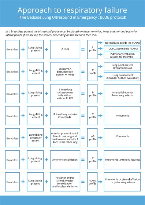 Cureus Application Of Lung Ultrasound In Critical Care Setting A Review