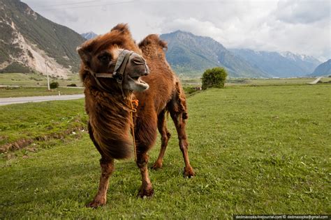 Picturesque Views Of The North Caucasus · Russia Travel Blog