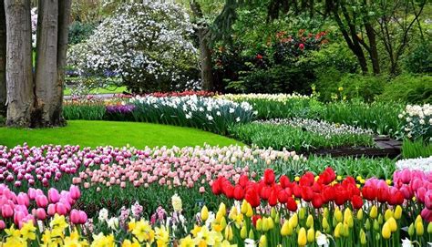 Top 10 Most Beautiful European Gardens You Need To Visit Tulips