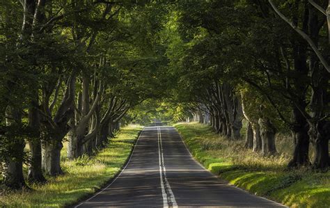 Fondos De Pantalla Carreteras árboles Naturaleza Descargar Imagenes