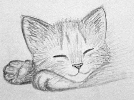 We did not find results for: Super drawing sketches animals kawaii Ideas | Kitten ...