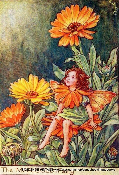 Cicely Mary Barker Fairy Pictures Fairy Art Flower Fairies