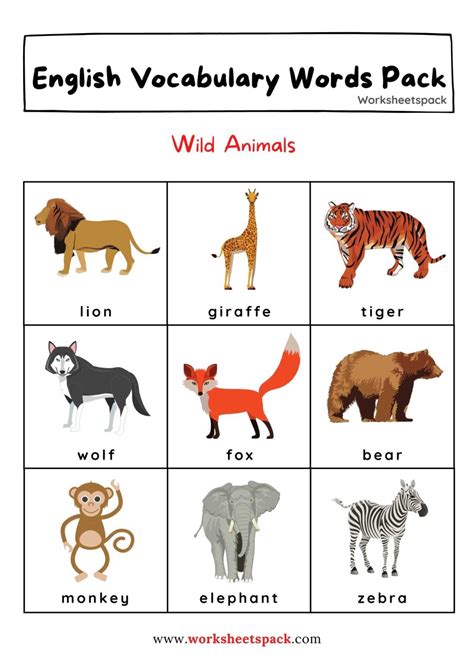 Animal Vocabulary Words For Kids Worksheetspack