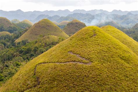 Chocolate Hills And Cute Tarsiers Guide To The Beautiful Island Of