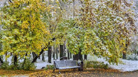 First Snowfall In Bright Colorful City Park In Autumn Stock Image