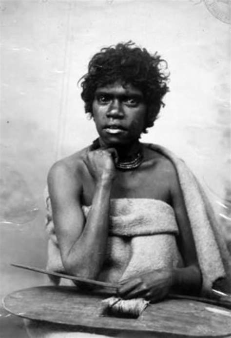 Tasmanian Aboriginal 1893 Aboriginal People Aboriginal History