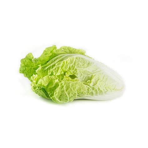 Chinese White Cabbage
