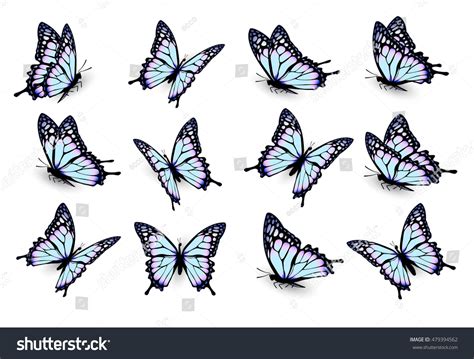 Set Blue Butterflies Flying Different Directions Stock Vector Royalty