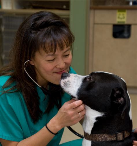However participants should be aware that some boards have limitations on the number of hours accepted in certain categories and/or restrictions on certain methods of delivery of continuing education. Alumni Profile: Justine Lee DVM '97 launches VETgirl to ...