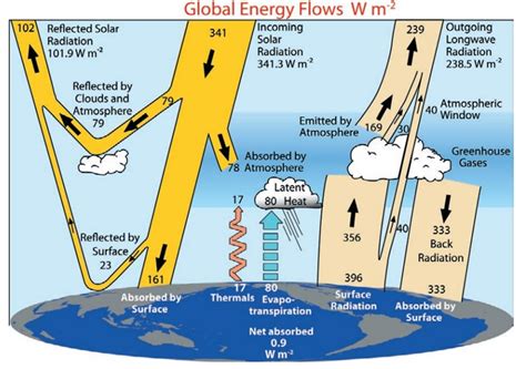 Unit 3 Energy Flows And Feedback Processes