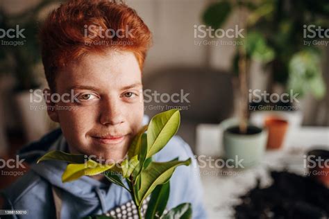 Portrait Of Redhead Teen Holding Houseplant In Front Of His Face Stock