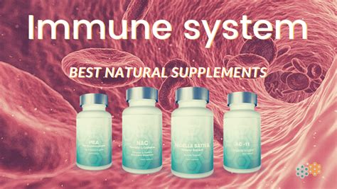 Best Immune System Supplements For Effective Defenses Immunity Guide