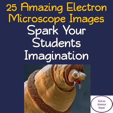 25 Amazing Electron Microscope Images Powerpoint Made By Teachers
