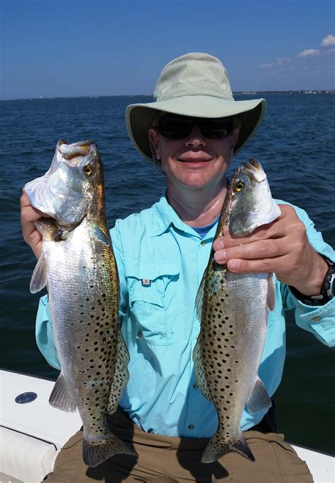 Trout Snook And Redfish On Fire From Backcountry To Barrier Islands