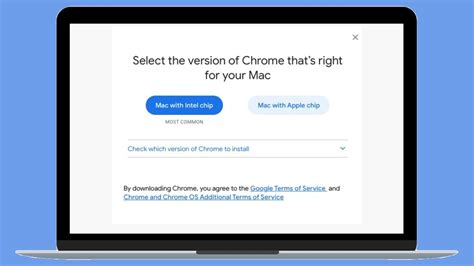 Carefully read the terms of service, then select accept and install. How to Download & Install Google Chrome on M1 Macs (Guide ...