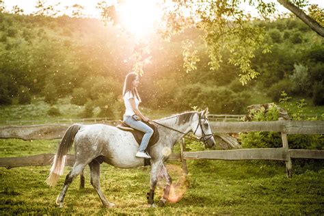 Top 4 Places To Go Horseback Riding In Pigeon Forge Pigeon Forge Online
